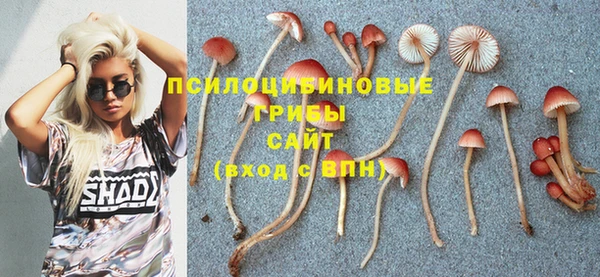 марки lsd Дмитровск