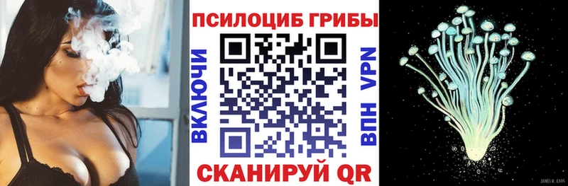 Псилоцибиновые грибы Cubensis  Купить где  Дудинка 