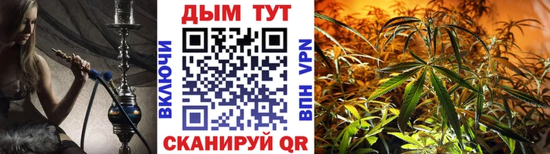 Купить где  Дудинка  Бошки марихуана индика 